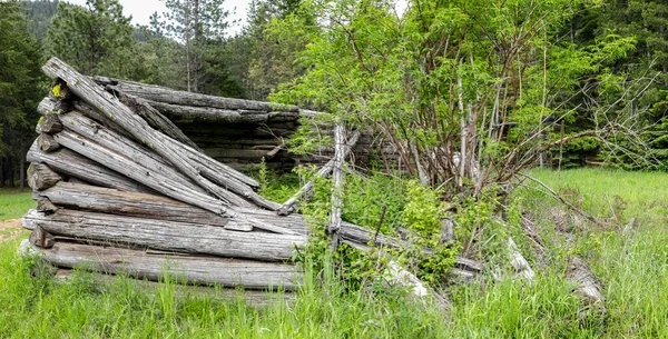 Les Ruines Une Ancienne Cabane Rondins Cultivée Avec Arbre Herbe — Photo