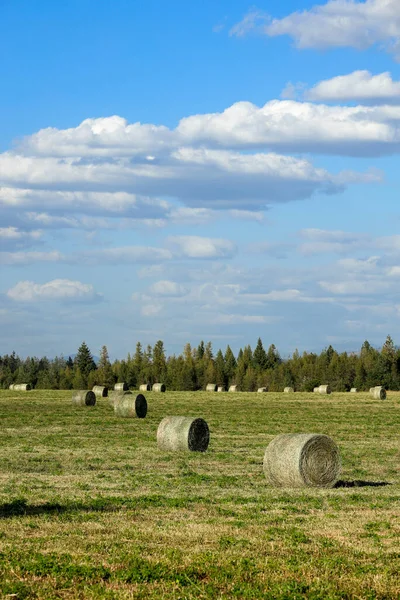 Hay Bales Field Partly Cloudy Sky North Idaho — Stock Photo, Image