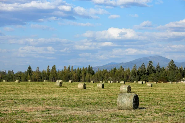 Kuzey Idaho Parçalı Bulutlu Bir Gökyüzünün Altında Saman Balyaları — Stok fotoğraf