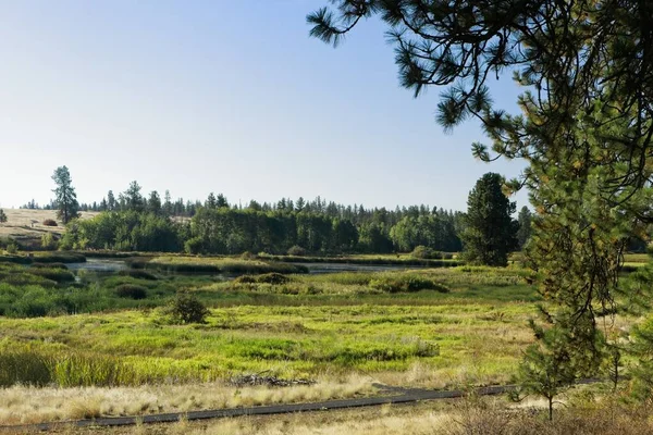 Paisaje Foto Del Refugio Turnbull Wilife Cheney Washington — Foto de Stock