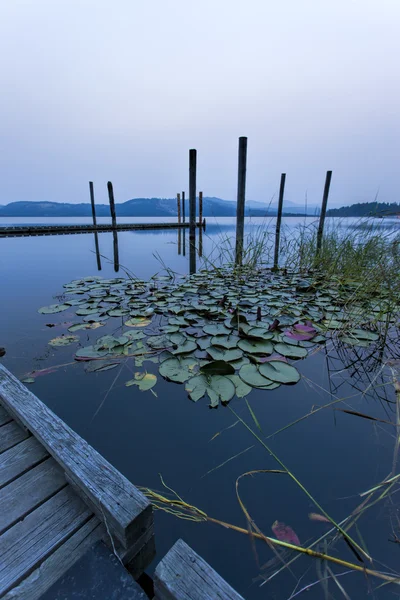 Matin paisible au bord du lac . — Photo