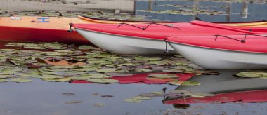 Sakin suda demirli kayaks Pano.