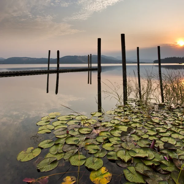Nascer do sol colorido sobre lago calmo . — Fotografia de Stock