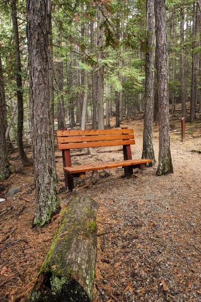 Park bench and broken lamppost â€