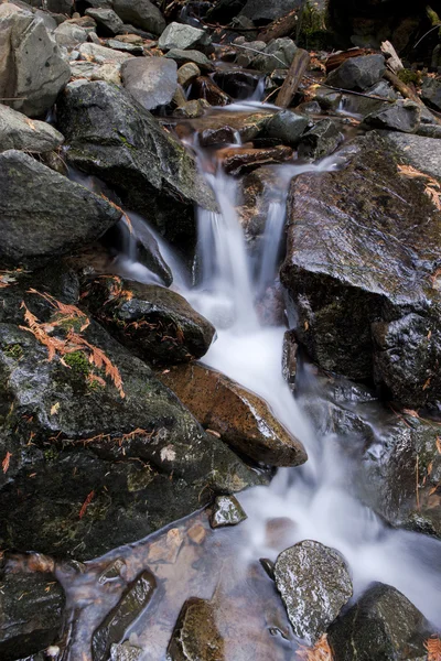 Cascading Copper Creek. — Stockfoto