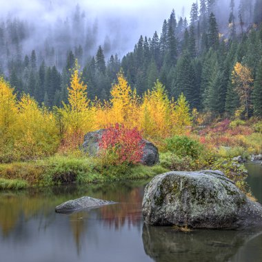 Autumn colors by the calm water. clipart