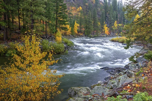 Wenatchee River rapids. — Stock Photo, Image