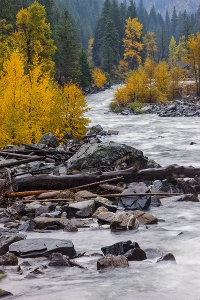 Wenatchee river i höst. — Stockfoto