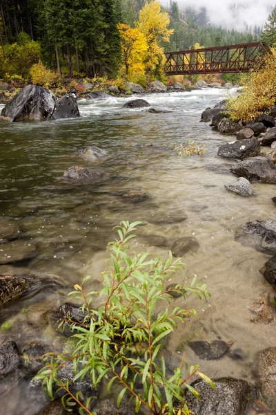 Plant bij de rivier. — Stockfoto