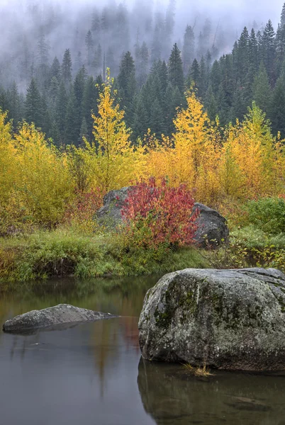 Large boulder in calm water in fall. — 图库照片