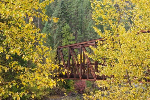पिवळ्या झाडांमधील पूल . — स्टॉक फोटो, इमेज