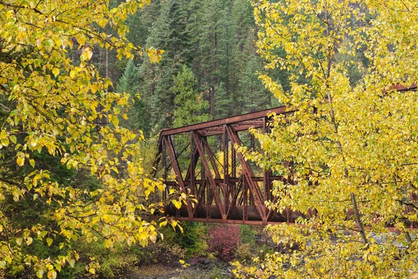 Brug tussen geel bomen. — Stockfoto