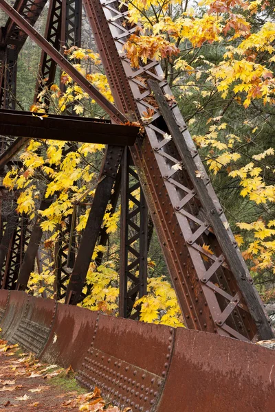 Deel van tumwater canyon brug. — Stockfoto