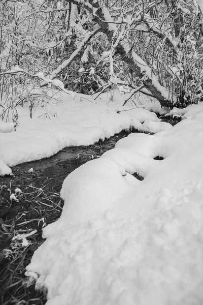 Petit ruisseau en hiver . — Photo