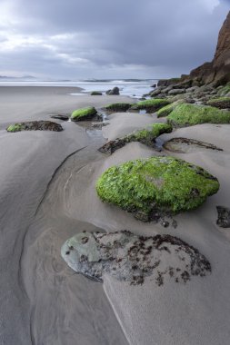 Kayalar Pasifik Okyanusu için yol.
