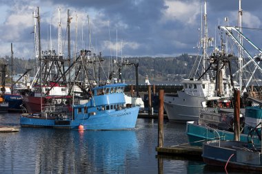 Kenetlenmiş balıkçı tekneleri.