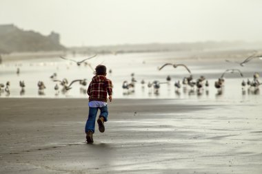 Boy runs toward seagulls. clipart