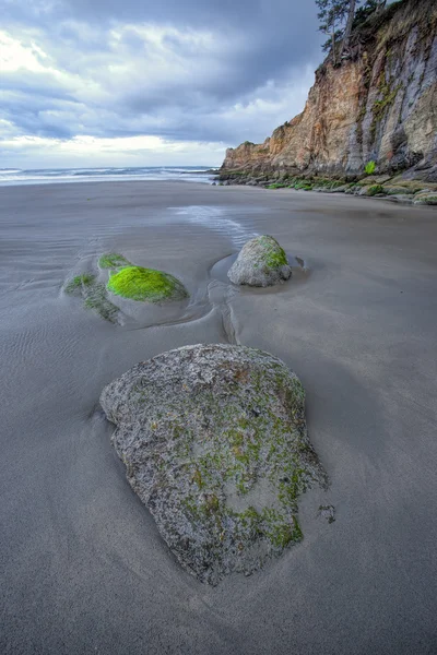 水獭岩石海滩. — 图库照片