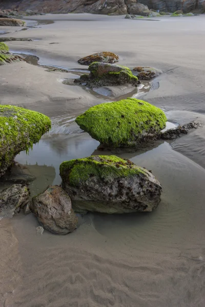 Rocas y pequeño charco de agua . — Foto de Stock