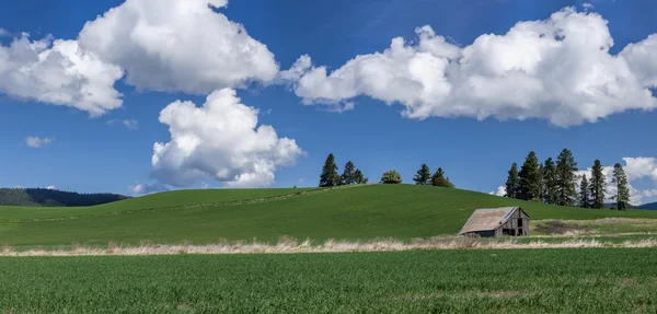 Obszarów wiejskich Północnej Idaho panoramiczne. — Zdjęcie stockowe