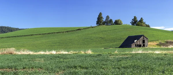 Panorama de granero en campo . —  Fotos de Stock