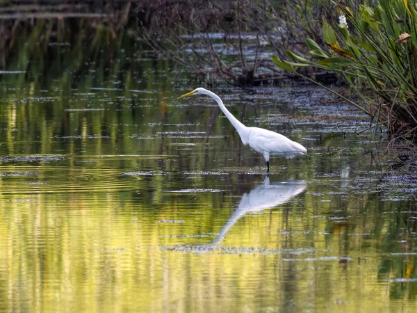 Kenar waters tarafından vinç.