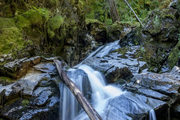 Cachoeiras do Norte do Idaho . — Fotografia de Stock