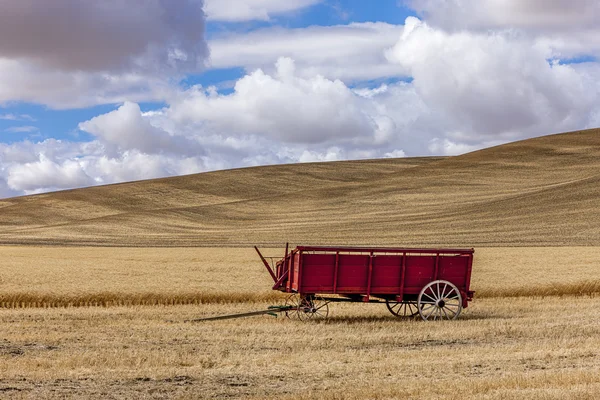 Vagão de trigo no campo . — Fotografia de Stock