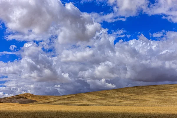 Zvlněné kopce v Palouse. — Stock fotografie