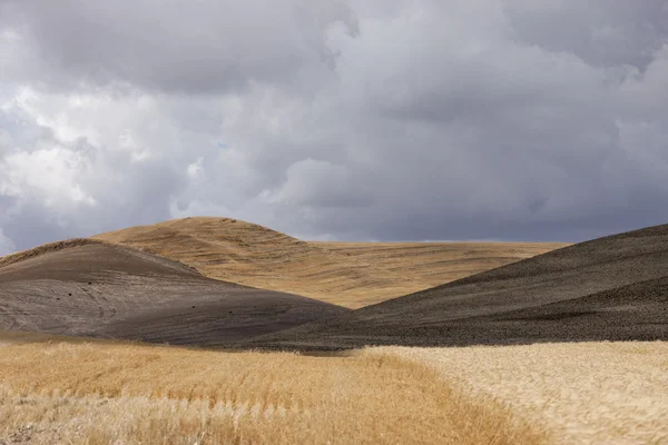 Rolling hills vicino a Colfax, Washington . — Foto Stock