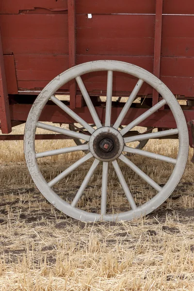 Oude witte wagen-wiel. — Stockfoto