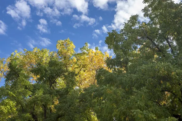 Vleugje herfst kleur. — Stockfoto