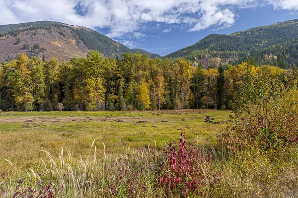 Campo perto de Sullivan Lake . — Fotografia de Stock