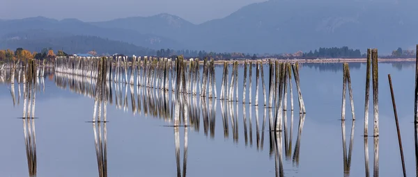 Panorama of pilings in river. — Stock Photo, Image