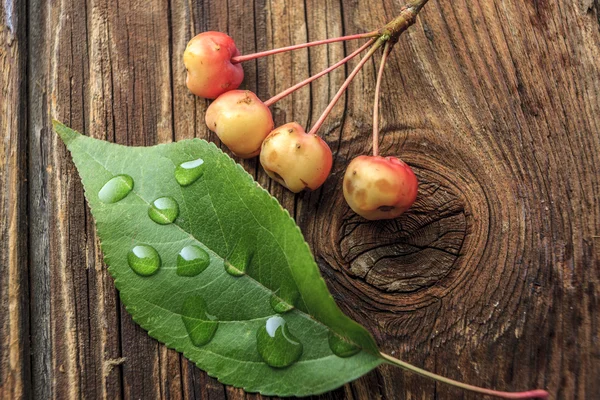 Granchi e gocce d'acqua sulla foglia . — Foto Stock