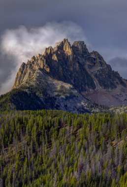 Majestic Braxon tepe Idaho.