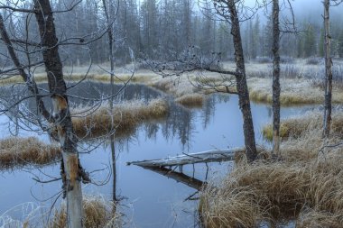 Bataklığa düşen günlük.