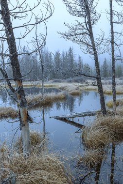 Sabah sis bataklık üzerinde.