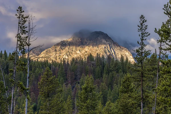 Az erdő és a hegy csúcsa. — Stock Fotó