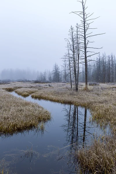 Akış ağaçlarda yansıması.