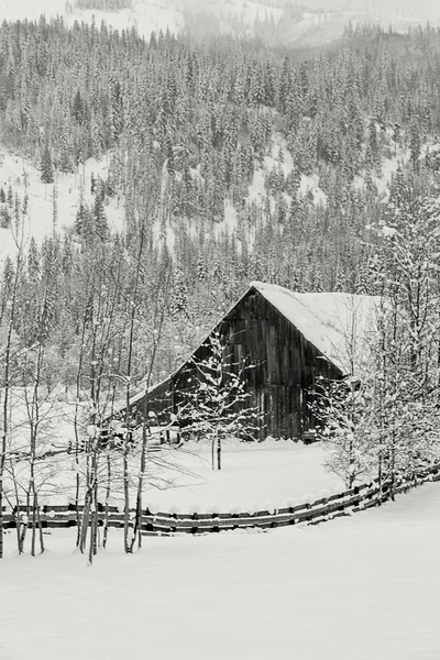 雪原で古い納屋. — ストック写真