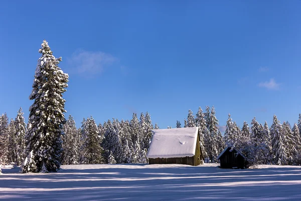 Ländliche Winterlandschaft. — Stockfoto