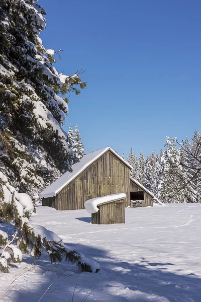 Vinter i landdistrikterne Idaho . - Stock-foto