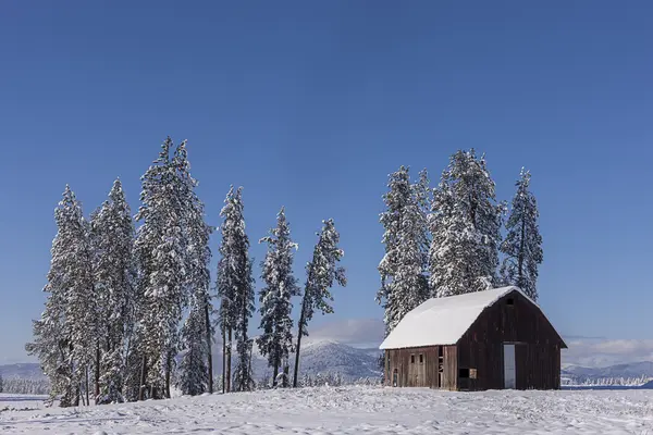 オープンで雪の上昇上の納屋. — ストック写真