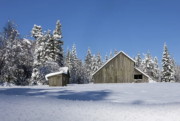 Ser tillbaka på snö täckta barn. — Stockfoto