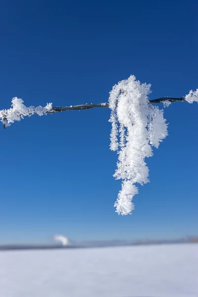 Clump of hoar frost on fence. — Stock Photo, Image
