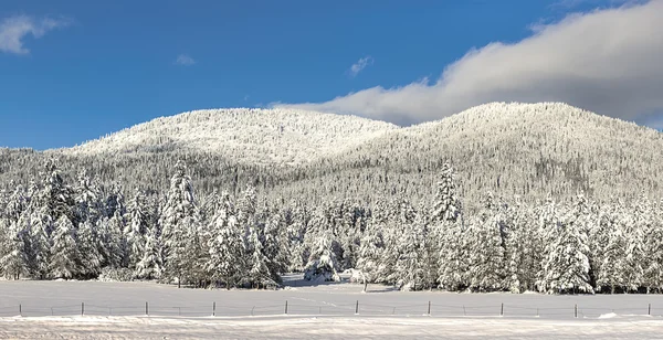 Hó fedett hegyi panoráma. — Stock Fotó