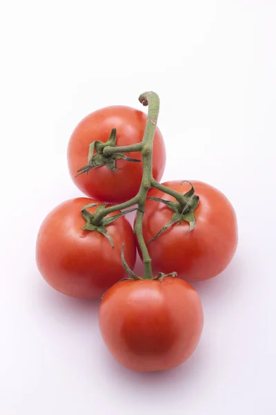 Zavření rajčat. — Stock fotografie