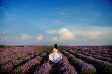 Beyaz elbiseli genç bir kadının lavanta tarlasında yürüyüşü. Çiçek açmış lavanta çiçekleri.