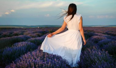 Beyaz elbiseli genç bir kadının lavanta tarlasında yürüyüşü. Çiçek açmış lavanta çiçekleri.
